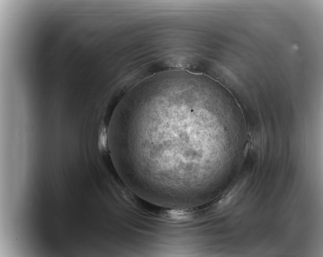 X0000088690095200706071528
