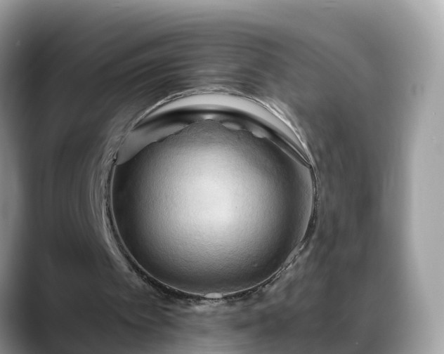 X0000088690097200706071528