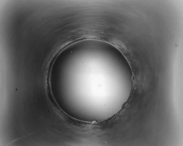 X0000088690098200706071528
