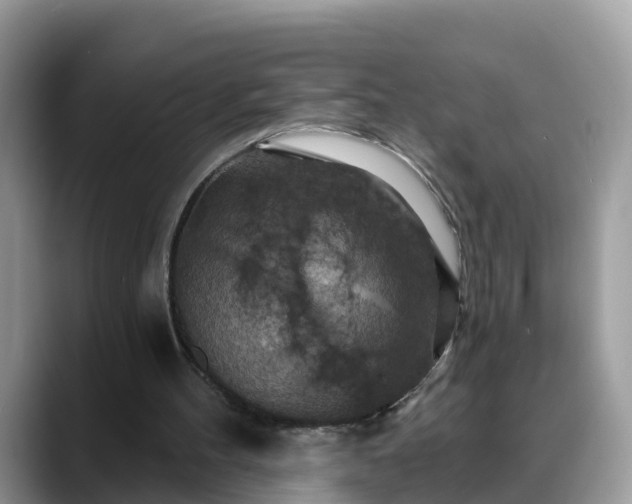 X0000088690100200706071528