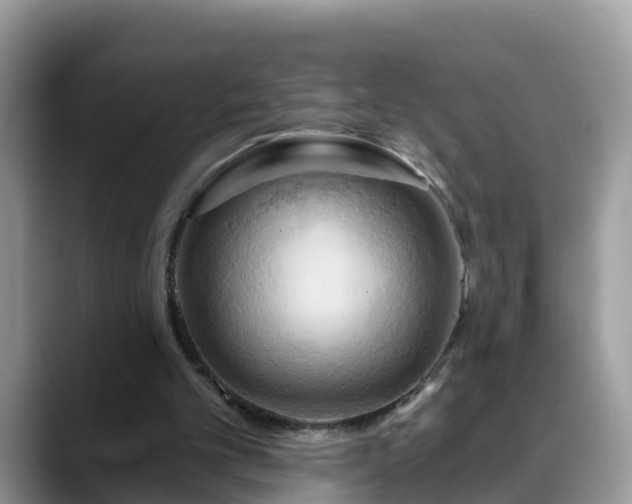 X0000088690101200706071528