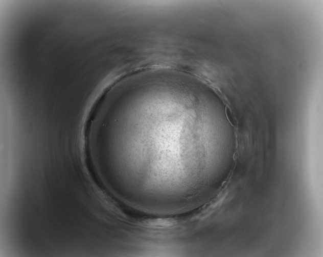 X0000088690102200706071528