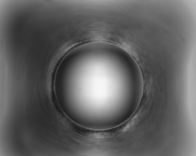 X0000088690103200706071528
