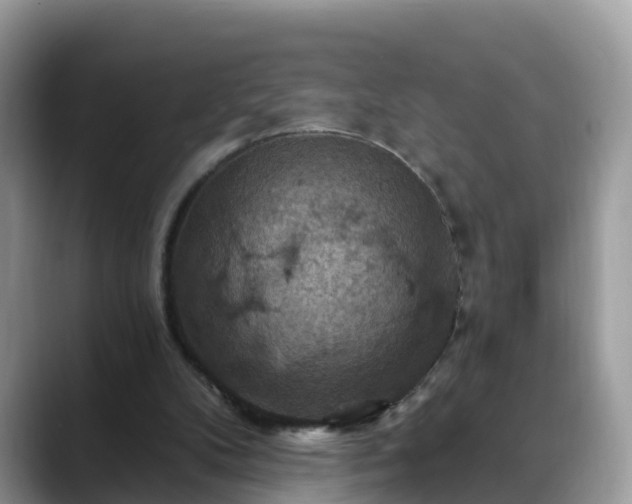 X0000088690104200706071528