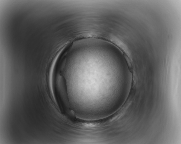 X0000088690105200706071528