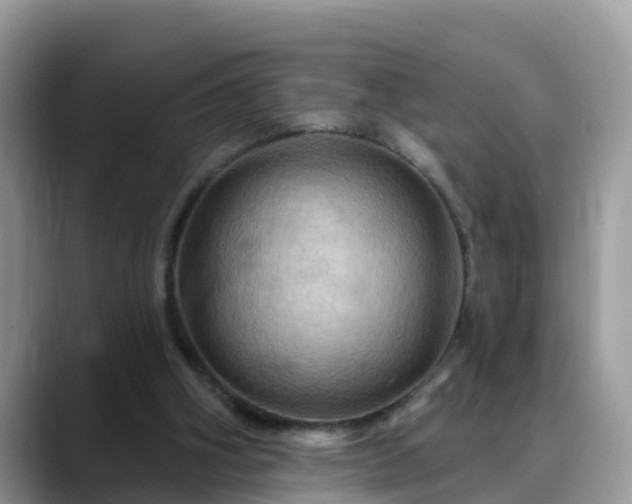 X0000088690106200706071527