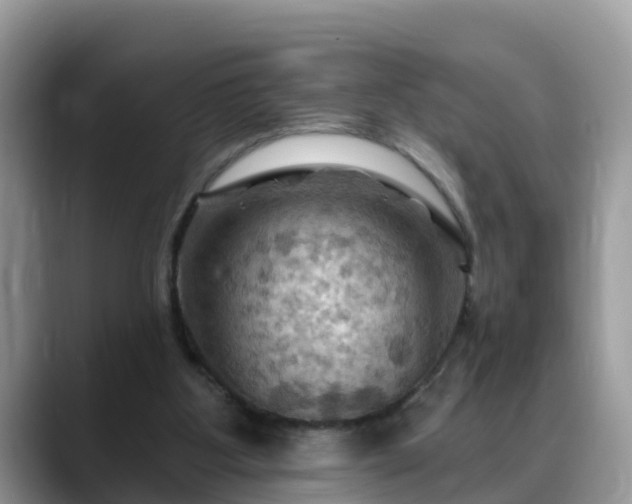 X0000088690107200706071527