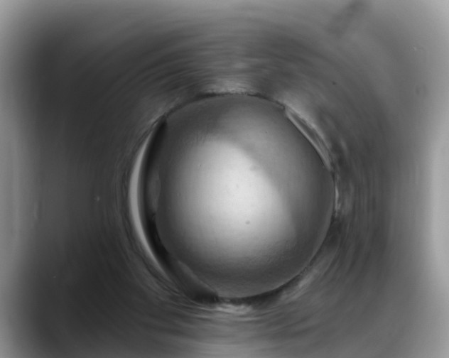 X0000088690109200706071527