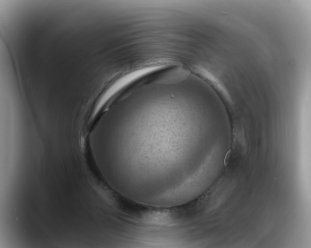 X0000088690110200706071527