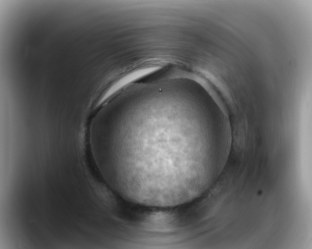 X0000088690111200706071527