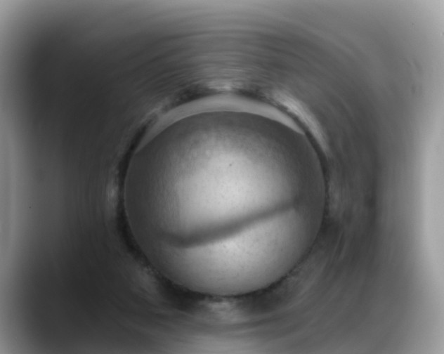 X0000088690113200706071527