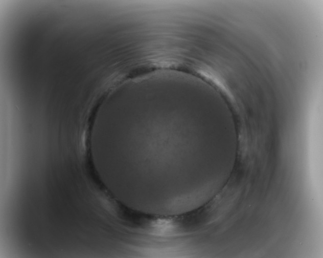 X0000088690114200706071527
