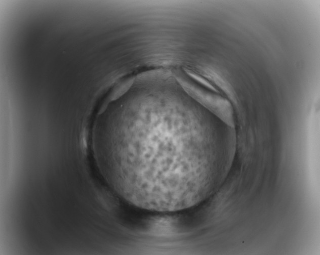 X0000088690115200706071527