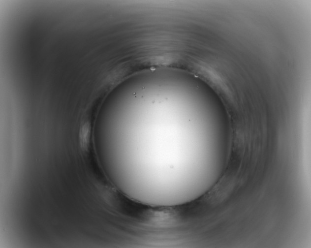 X0000088690118200706071527