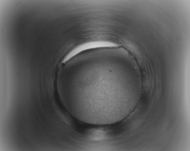 X0000088690120200706071527