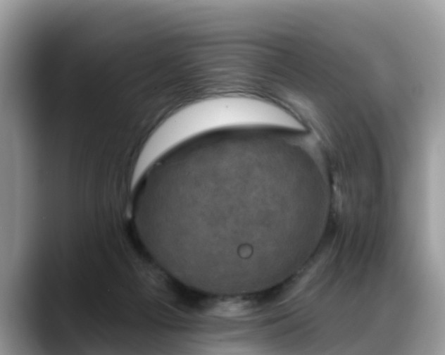 X0000088690121200706071527