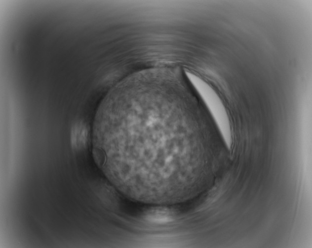 X0000088690123200706071527