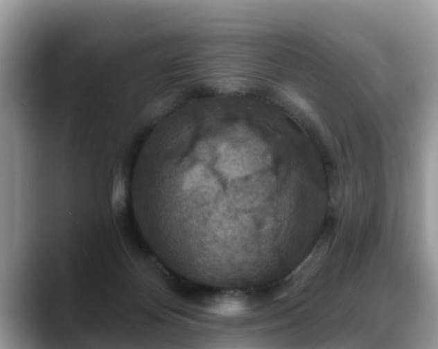 X0000088690124200706071527