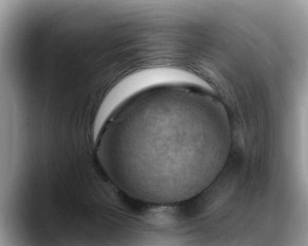 X0000088690125200706071527