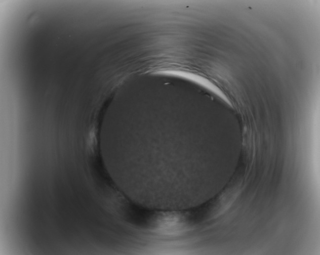 X0000088690127200706071527