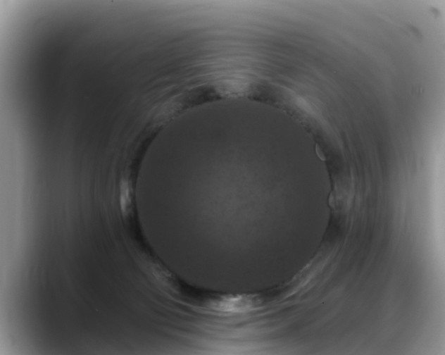 X0000088690130200706071527