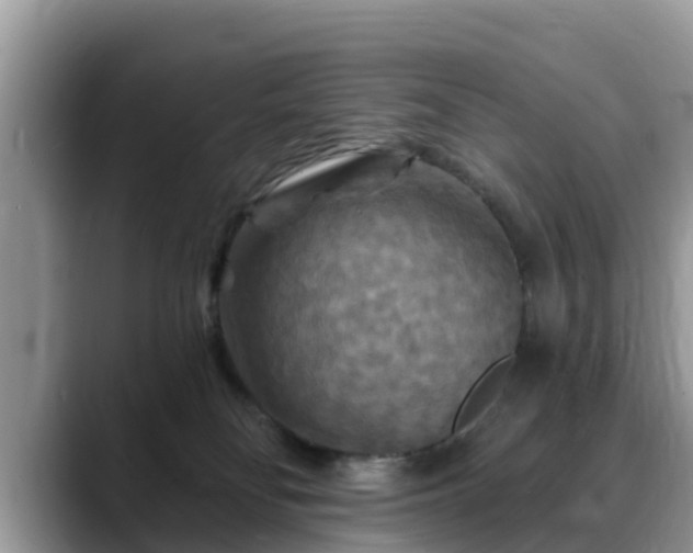 X0000088690134200706071527