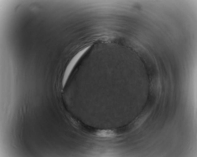 X0000088690137200706071527