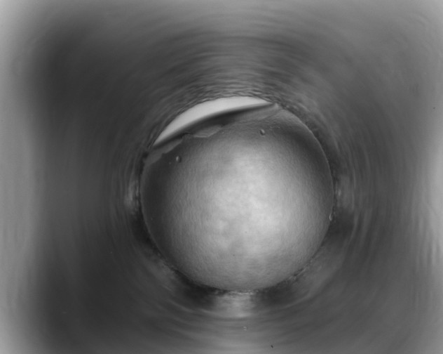 X0000088690138200706071527