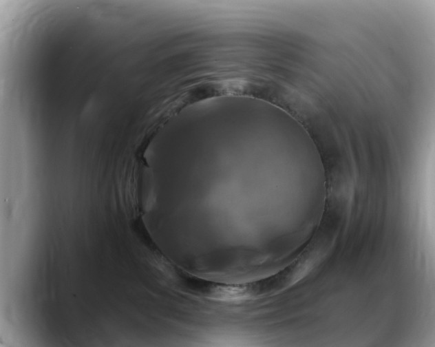 X0000088690139200706071527