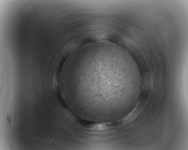 X0000088690140200706071527