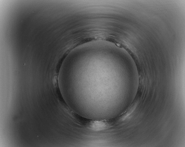 X0000088690141200706071527