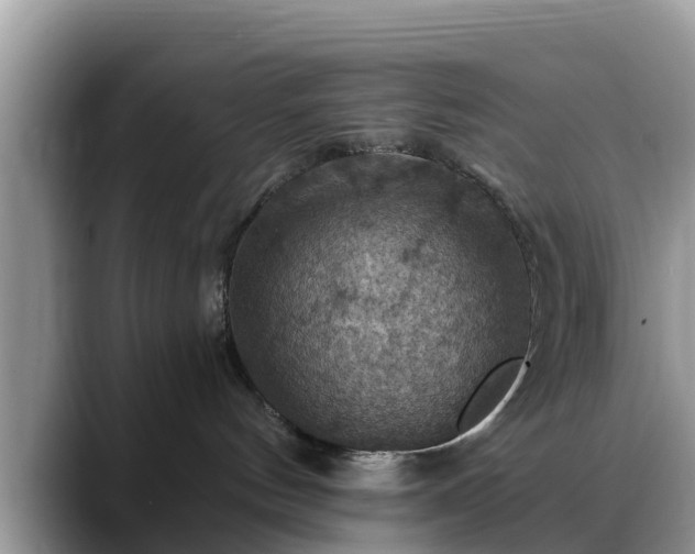 X0000088690144200706071527