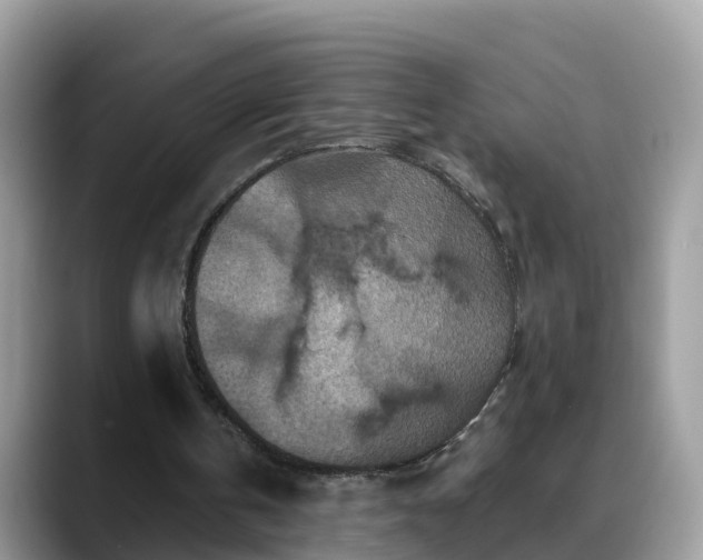 X0000088690146200706071526