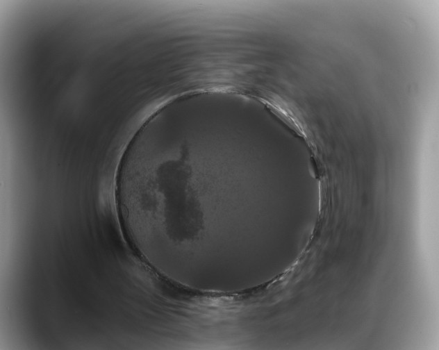 X0000088690147200706071526