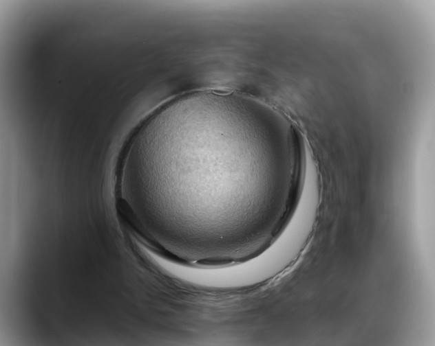 X0000088690150200706071526