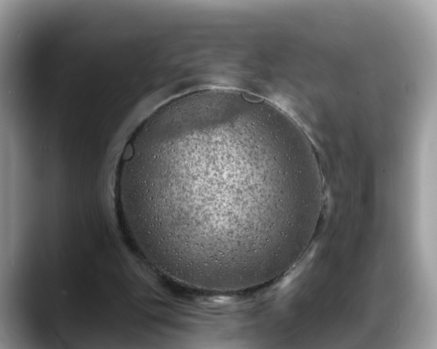 X0000088690151200706071526