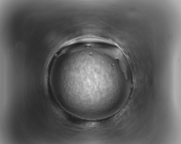 X0000088690152200706071526