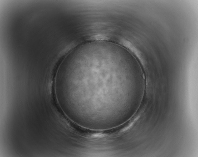 X0000088690153200706071526