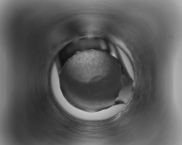 X0000088690154200706071526