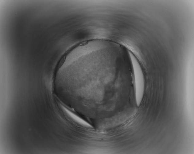 X0000088690156200706071527