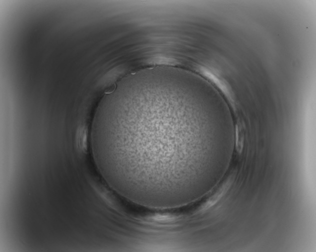X0000088690157200706071527