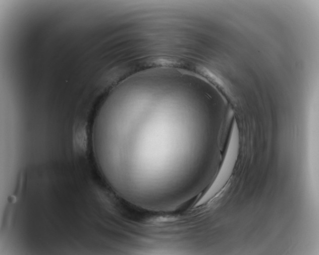 X0000088690158200706071527