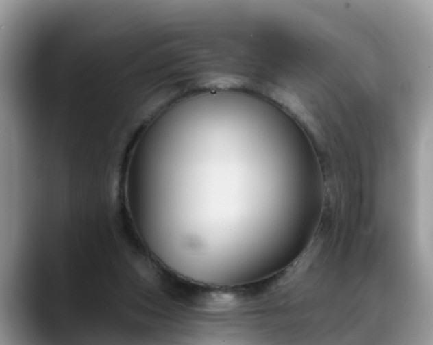 X0000088690159200706071527
