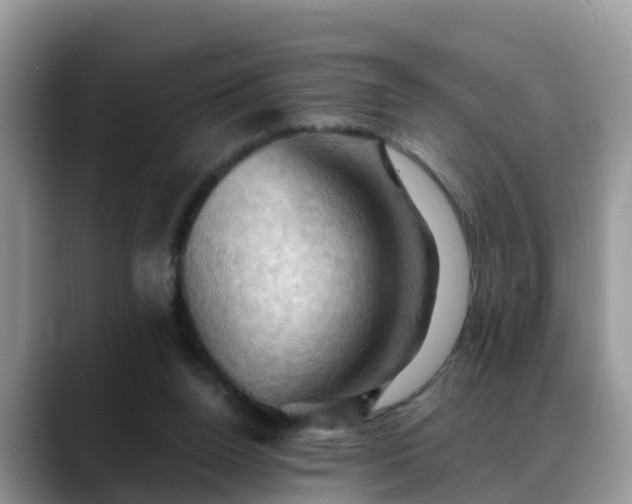 X0000088690160200706071527