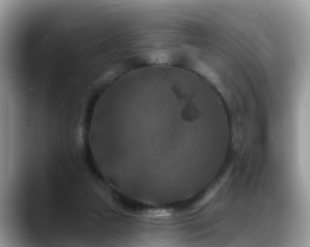 X0000088690161200706071527
