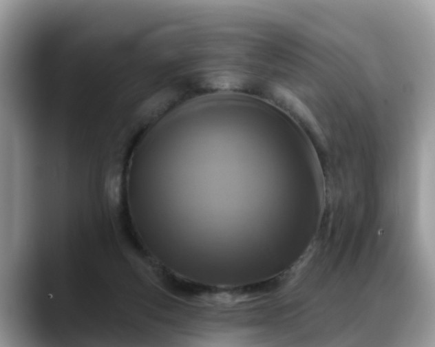 X0000088690163200706071527