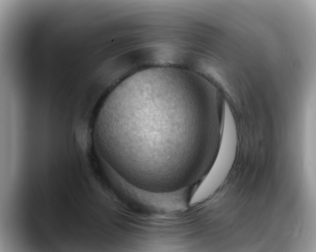 X0000088690164200706071527