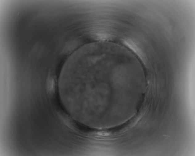 X0000088690165200706071527