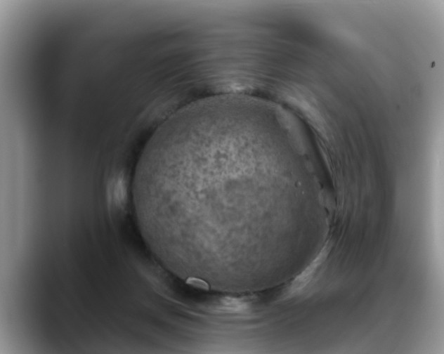 X0000088690166200706071527
