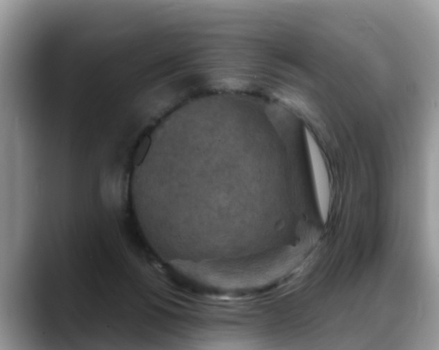X0000088690168200706071527